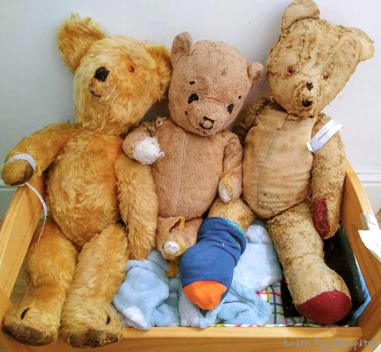 cleaning old teddy bears
