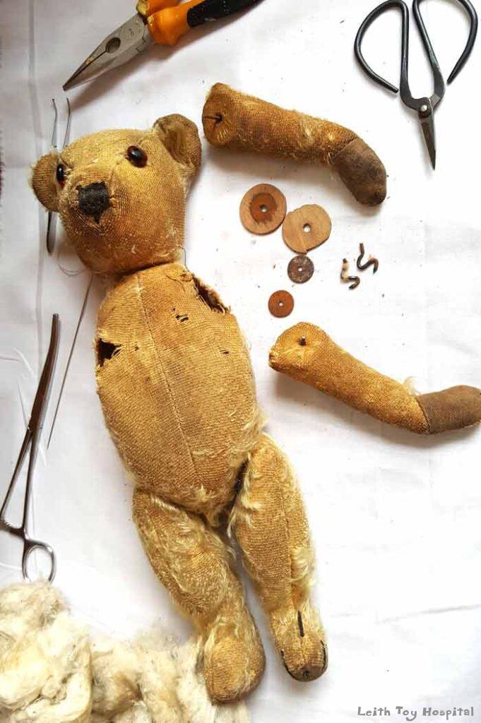 teddy restoration